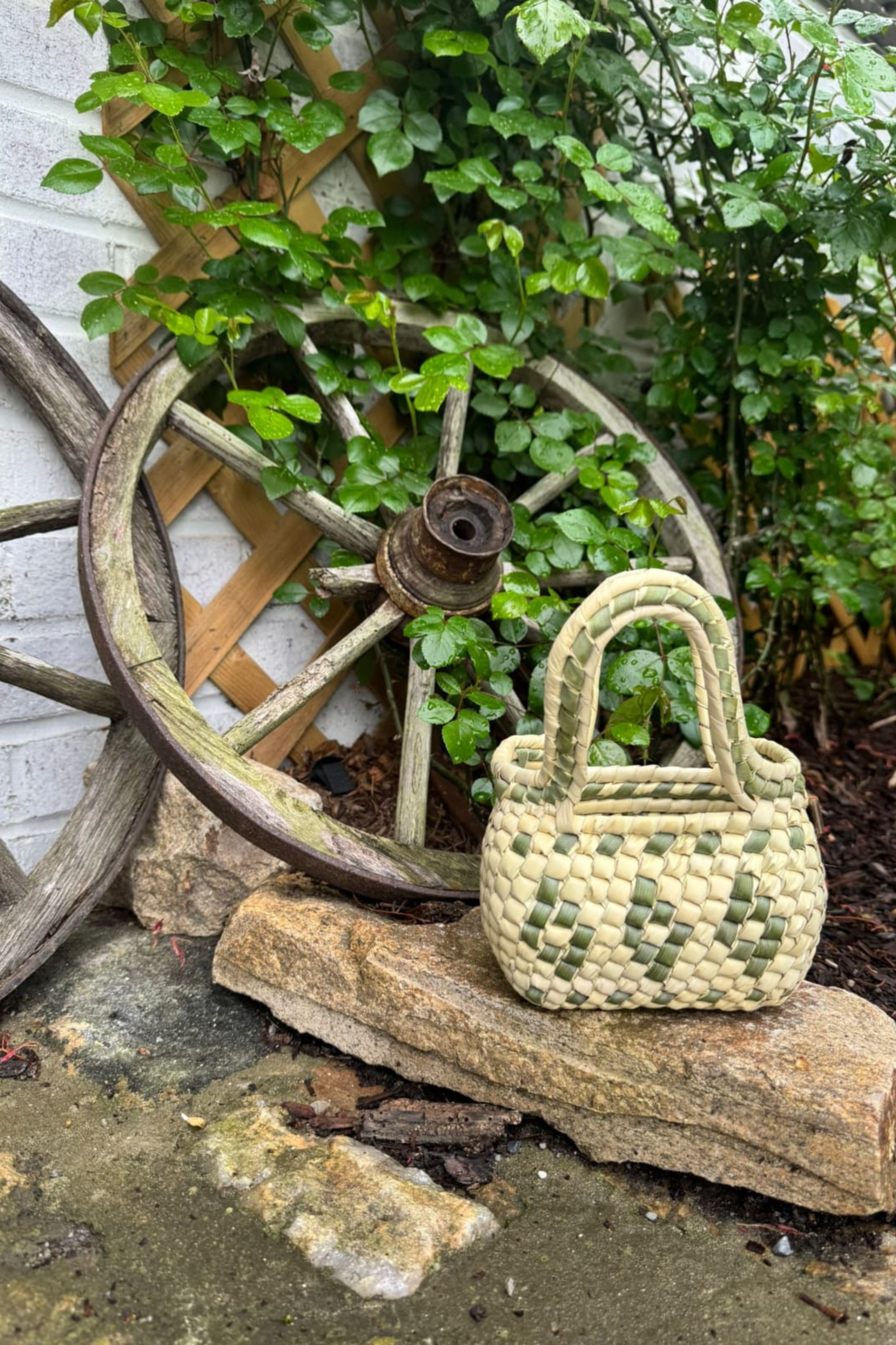 Palm Sage Cocol Citron