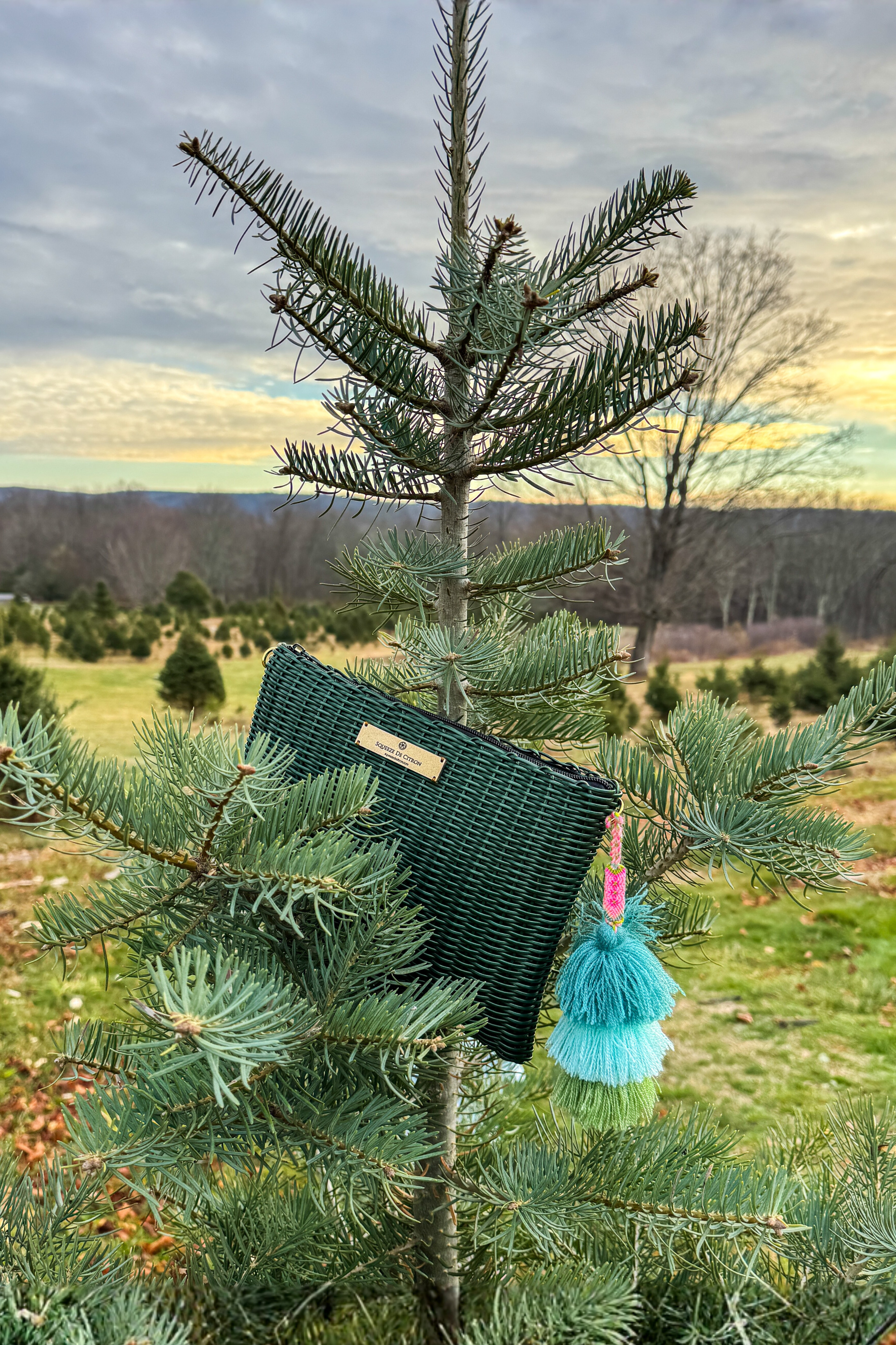 Sage Lemon Drop Citron