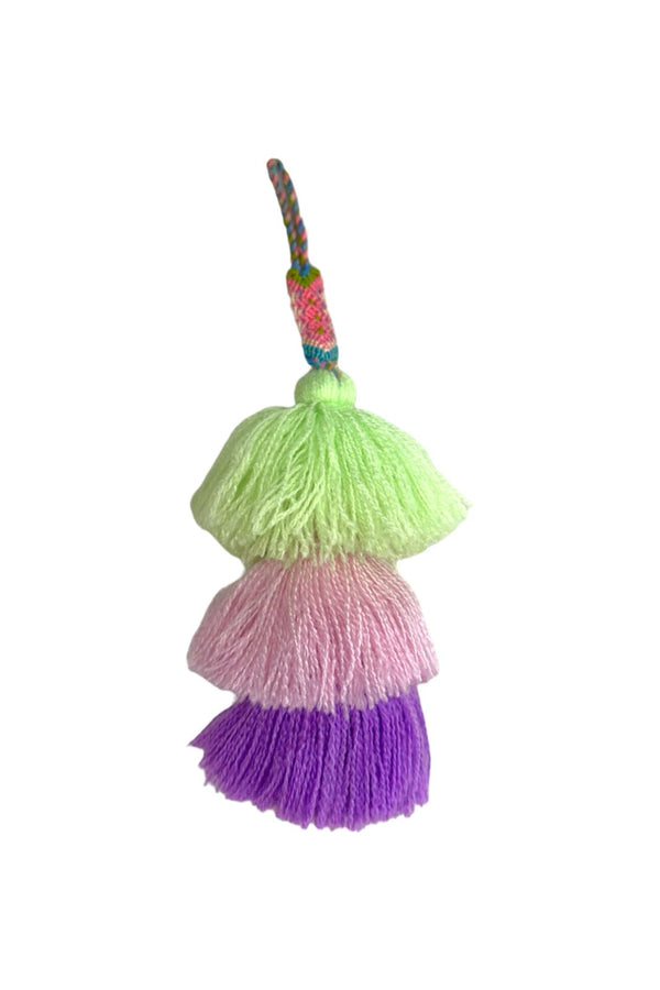 Mini Pom – Melon Rose