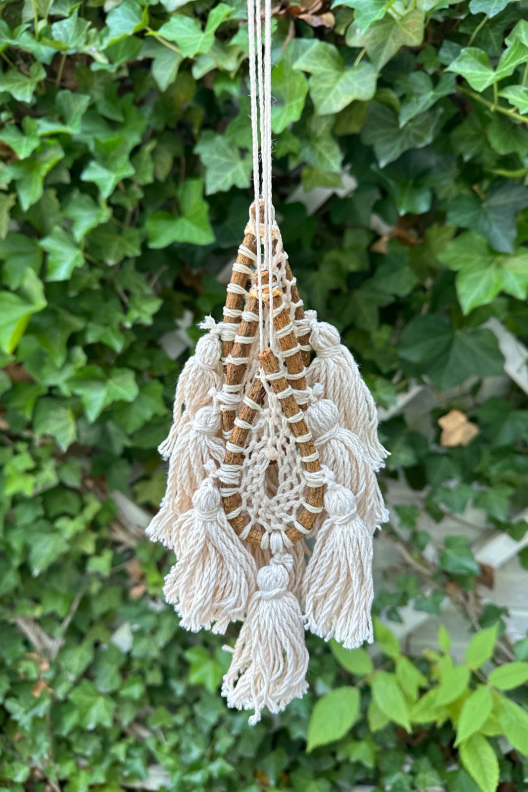 Natural Drop Dream Catcher